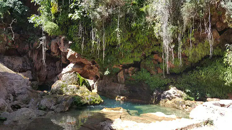A pond with plants in Paradise Valley, day excursion from beach in Taghazout.